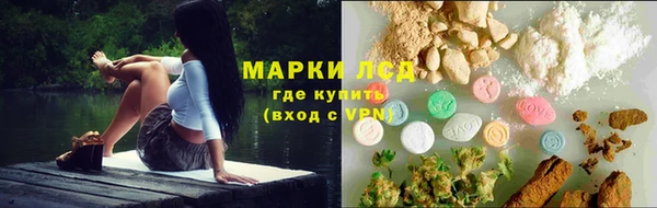 крисы Зеленокумск