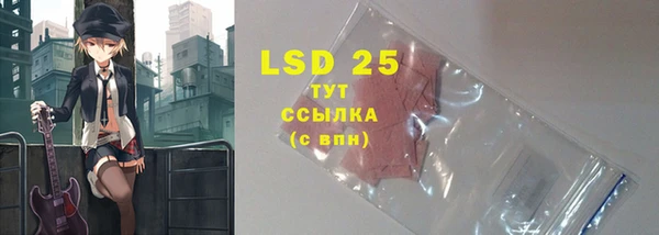 спиды Инта