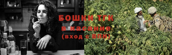 крисы Зеленокумск