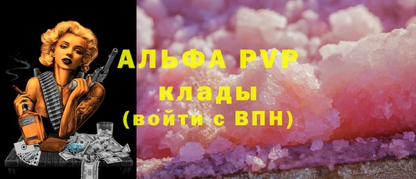 крисы Зеленокумск