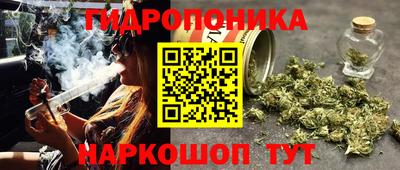гидра Владивосток