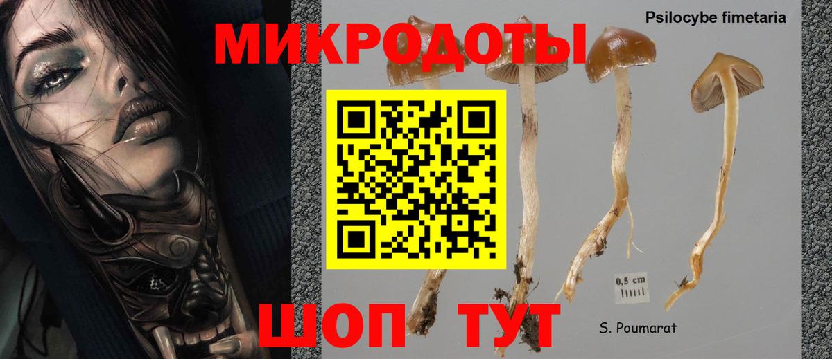 Галлюциногенные грибы прущие грибы Истра