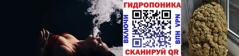 Конопля семена  Истра 